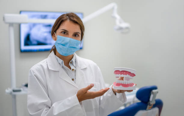 Best Emergency Dental Services for Seniors in Siesta Key, FL